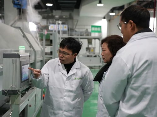 屏山茶葉新技術(shù)培訓(xùn)引領(lǐng)產(chǎn)業(yè)升級(jí)，信息技術(shù)咨詢服務(wù)助力提質(zhì)增效