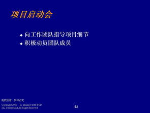 德勤管理咨詢 程序、技能與ERP100企業信息化知識門戶
